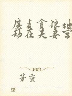 廉贞贪狼地空地劫在夫妻宫