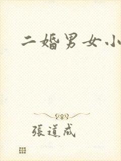 二婚男女小说