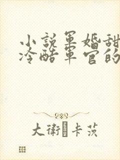 小说军婚甜宠:冷酷军官的全能娇妻陆煜免