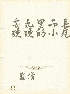 睾丸里面长了个硬硬的小疙瘩