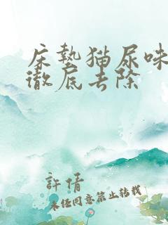 床垫猫尿味怎么彻底去除