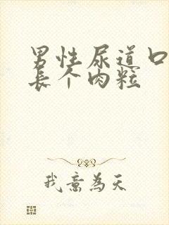 男性尿道口旁边长个肉粒