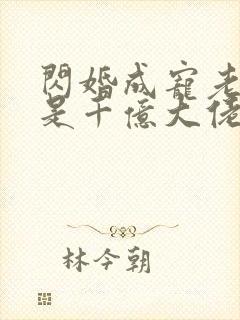 闪婚成宠老公竟是千亿大佬免费阅读