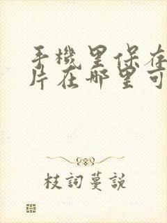 手机里保存的图片在哪里可以找到