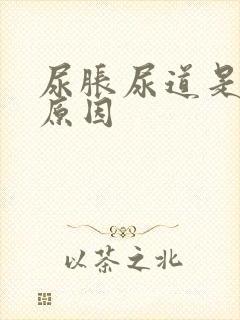 尿胀尿道是什么原因