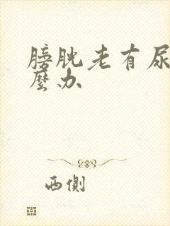 膀胱老有尿意怎么办