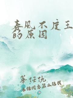 春风不度玉门关的原因