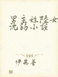 男主姓陆女主姓沈的小说