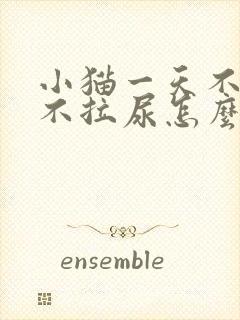 小猫一天不拉屎不拉尿怎么办