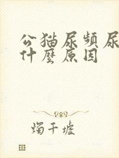 公猫尿频尿少是什么原因