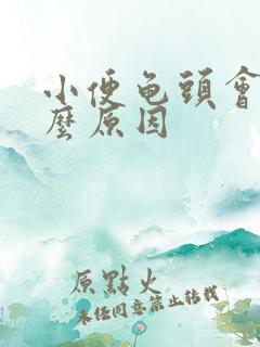 小便龟头会疼什么原因