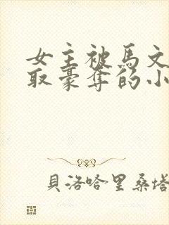 女主被马文才强取豪夺的小说