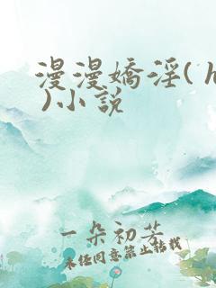 漫漫娇淫( h )小说