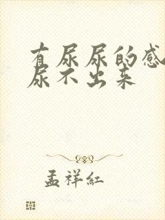 有尿尿的感觉却尿不出来