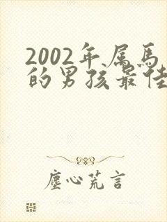 2002年属马的男孩最佳婚配