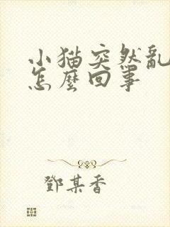 小猫突然乱尿是怎么回事