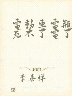 电动车电瓶亏电充不了电了怎么办