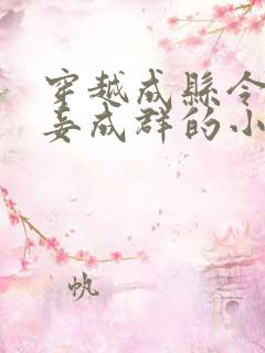 穿越成县令之妻妾成群的小说