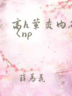 高h荤爽肉欲文〈np