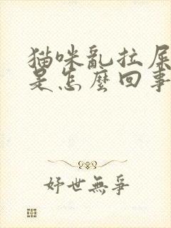 猫咪乱拉屎拉尿是怎么回事