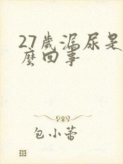 27岁漏尿是怎么回事