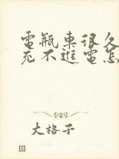 电瓶车很久不骑充不进电怎么办