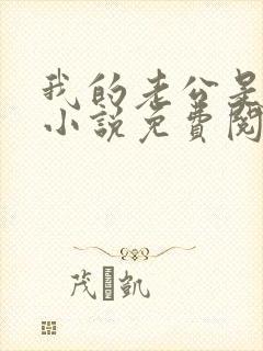 我的老公是酷哥小说免费阅读全文