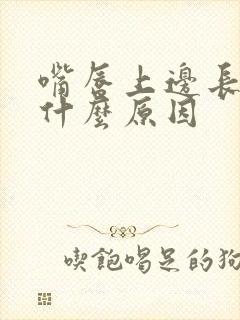 嘴唇上边长斑是什么原因