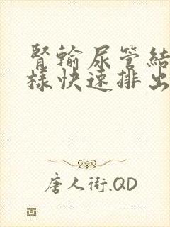 肾输尿管结石怎样快速排出石