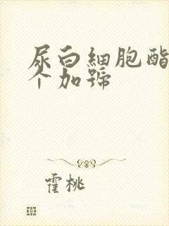 尿白细胞酯酶一个加号