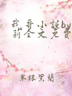我哥小说by雪莉全文免费阅读笔趣阁