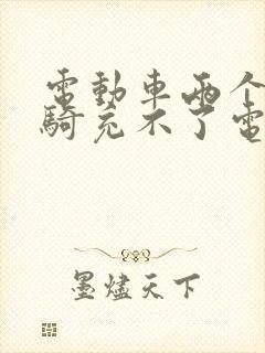 电动车两个月没骑充不了电怎么办