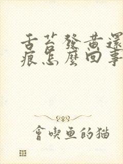 舌苔发黄还有裂痕怎么回事