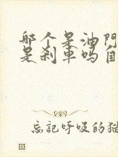 哪个是油门那个是刹车吗自动挡