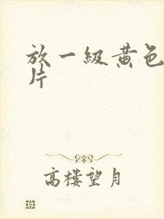 放一级黄色免费片