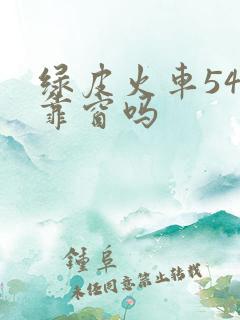 绿皮火车54号靠窗吗