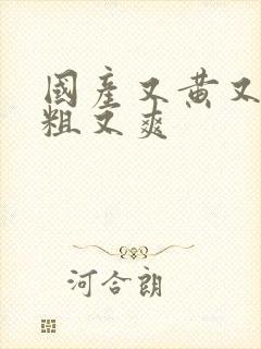 国产又黄又色又粗又爽