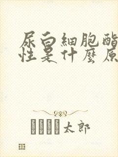 尿白细胞酯酶阳性是什么原因