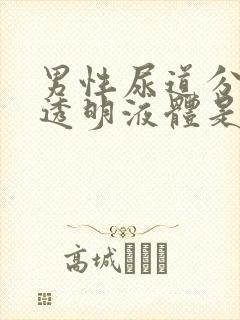 男性尿道分泌出透明液体是什么