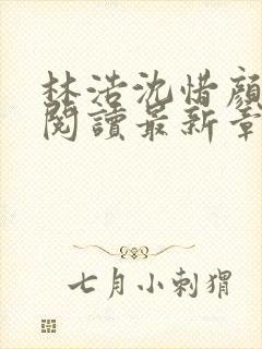 林浩沈惜颜免费阅读最新章节