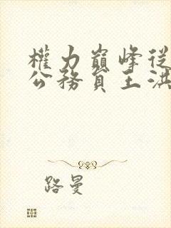 权力巅峰从基层公务员王洪涛