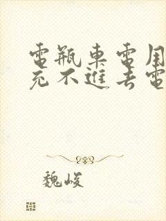 电瓶车电用完了充不进去电怎么回事