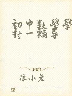 初中数学学习一对一辅导