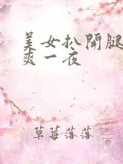 美女扒开腿让我爽一夜