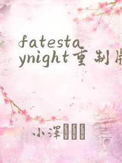 fatestaynight重制版