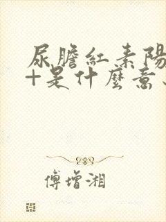 尿胆红素阳性1+是什么意思