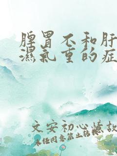 脾胃不和肝火旺湿气重的症状