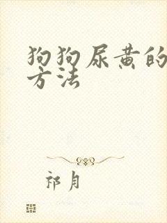 狗狗尿黄的治疗方法