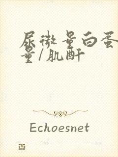 尿微量白蛋白定量/肌酐