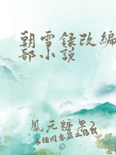 朝雪录改编自哪部小说